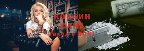 дживик Аркадак