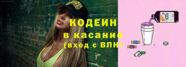 хмурый Арсеньев