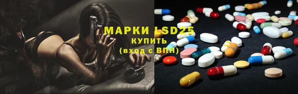хмурый Арсеньев