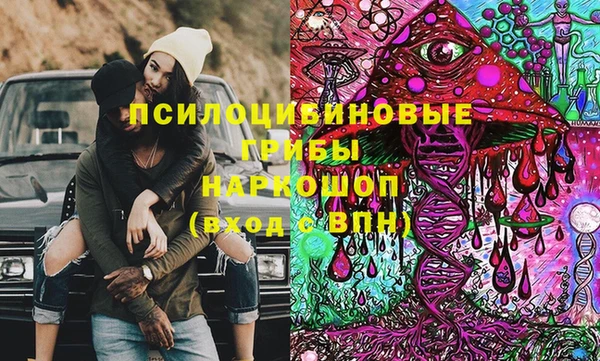 хмурый Арсеньев