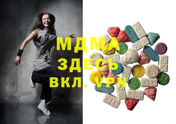 хмурый Арсеньев