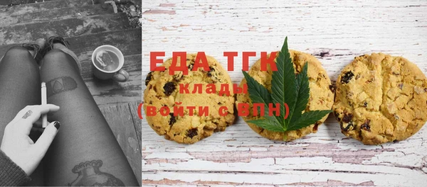 хмурый Арсеньев