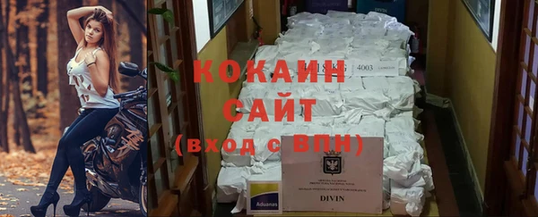 дживик Аркадак